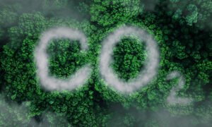 Mato Grosso do Sul Lidera Descarbonização com Foco em Bioenergia e Combustível Sustentável (SAF)