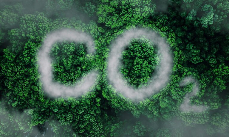 Mato Grosso do Sul Lidera Descarbonização com Foco em Bioenergia e Combustível Sustentável (SAF)