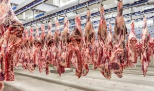 Países árabes ganham força como alternativa à China nas exportações de carne bovina do Brasil