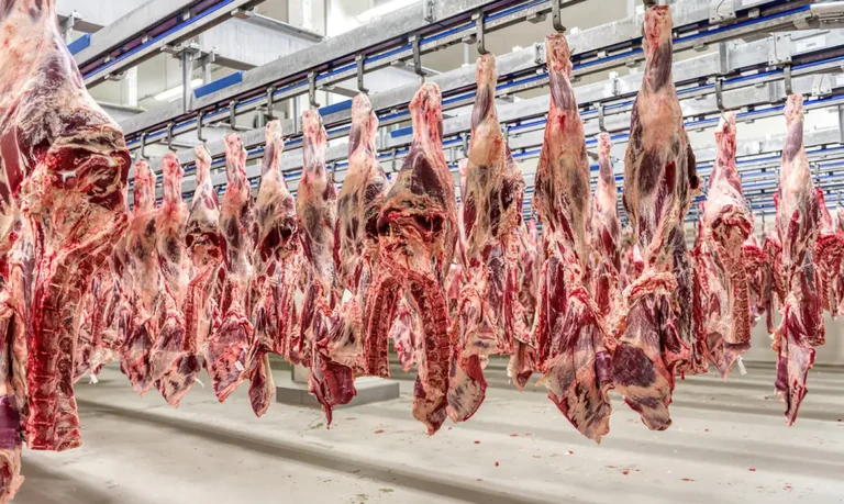 Países árabes ganham força como alternativa à China nas exportações de carne bovina do Brasil