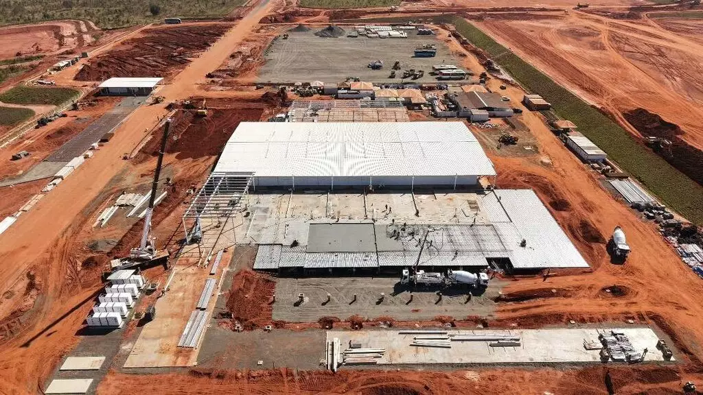 Projetos de Suzano, Arauco, Bracell e Eldorado ampliam produção e pressionam qualificação e logística. (Foto: Divulgação)