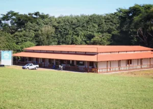 Casa foi erguida no Parque das Nações Indígenas, há 15 anos (Foto: Osmar Veiga)