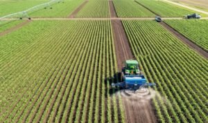 Guerra no Irã encarece fertilizantes e pode elevar custo da soja e do milho na safra 2026/27 em MS