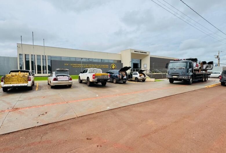 Material apreendido na ação - Crédito: Divulgação DOF