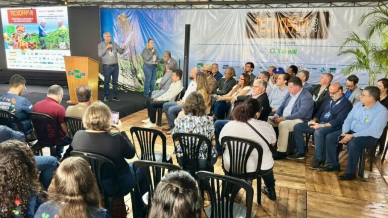 Foto: Divulgação/Reprodução Imagem da Internet.