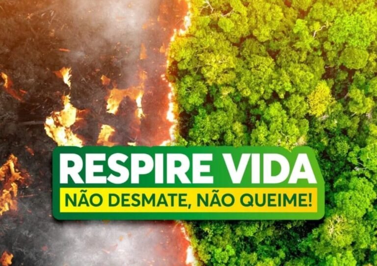 Foto: Divulgação/Reprodução de Imagem da Internet.