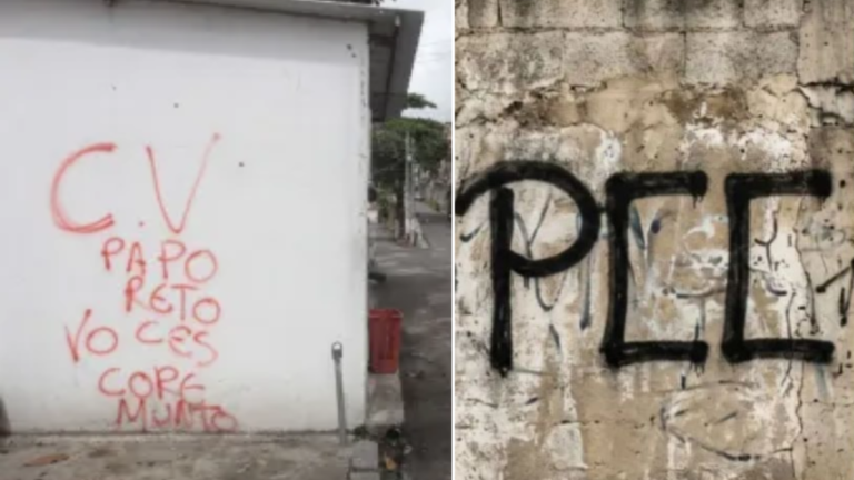 Foto: Divulgação/Reprodução.