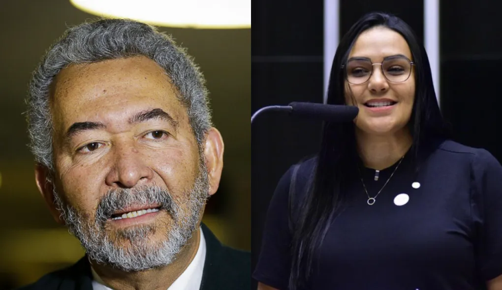 Foto: Créditos - Reprodução / Câmara dos Deputados.