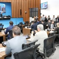 Foto: Créditos de Imagem - Wagner Guimaraes ALEMS.
