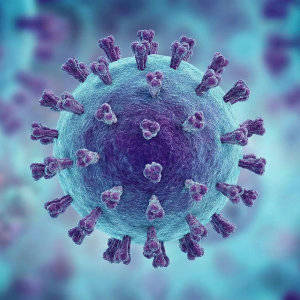 O Alerta Global sobre o Vírus Nipah e o Cenário Atual na Ásia