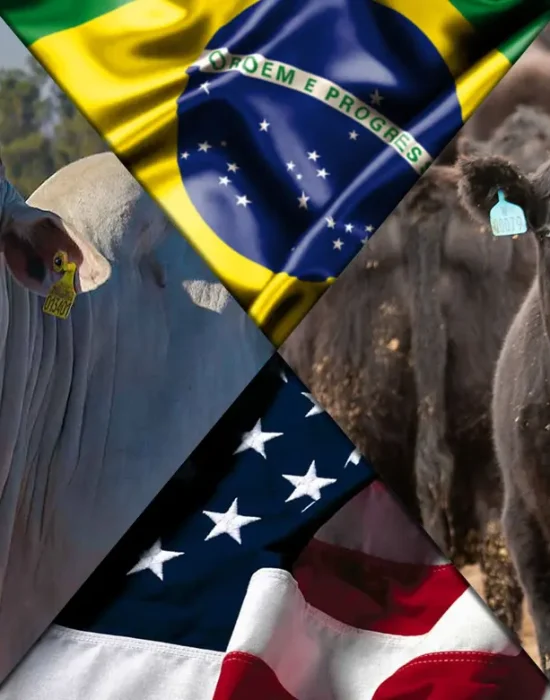 Fonte: Montagem CompreRural