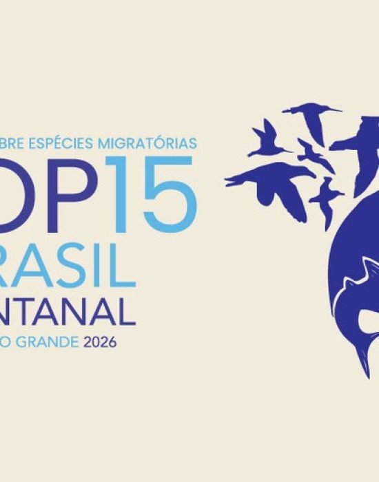 COP15 em Campo Grande: por que a Capital foi escolhida para sediar conferência global da ONU sobre espécies migratórias