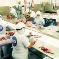 RKO Alimentos possui frigorífico em Campo Grande e Coxim. (Reproduçao, RKO)