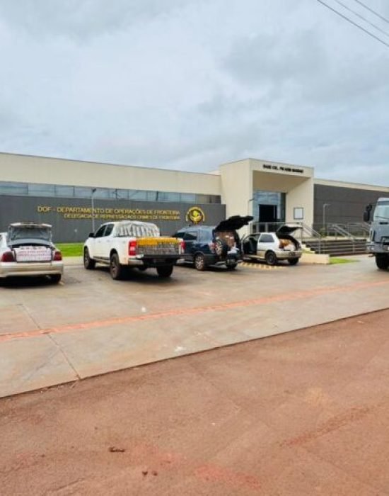 Material apreendido na ação - Crédito: Divulgação DOF